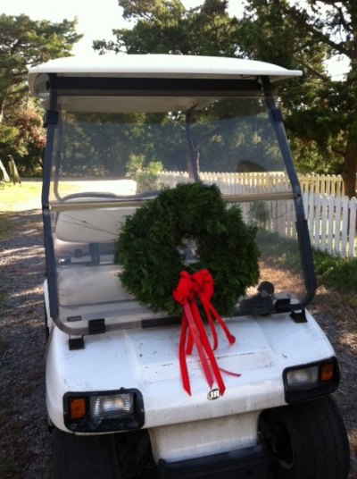 Every golf cart needs one.
